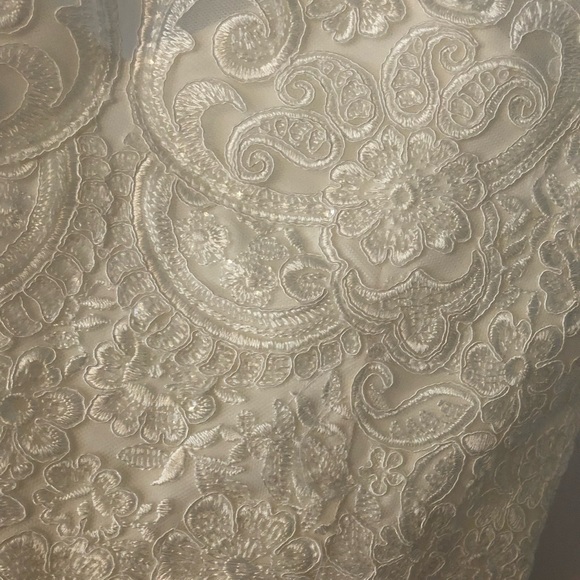 Blush and ivory Princess Prom / Wedding Gown - Small - Picture 6 of 7